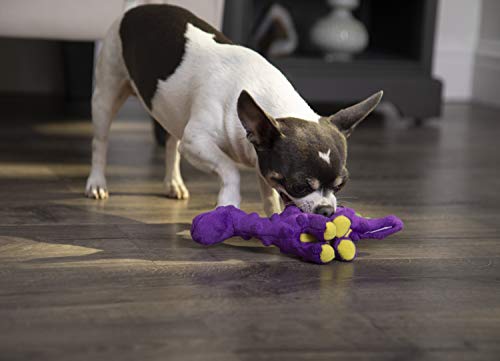 Just For Me Dinos Bruto Squeaky Plush Dog Toy (Dinos Bruto (Purple) / Mini)
