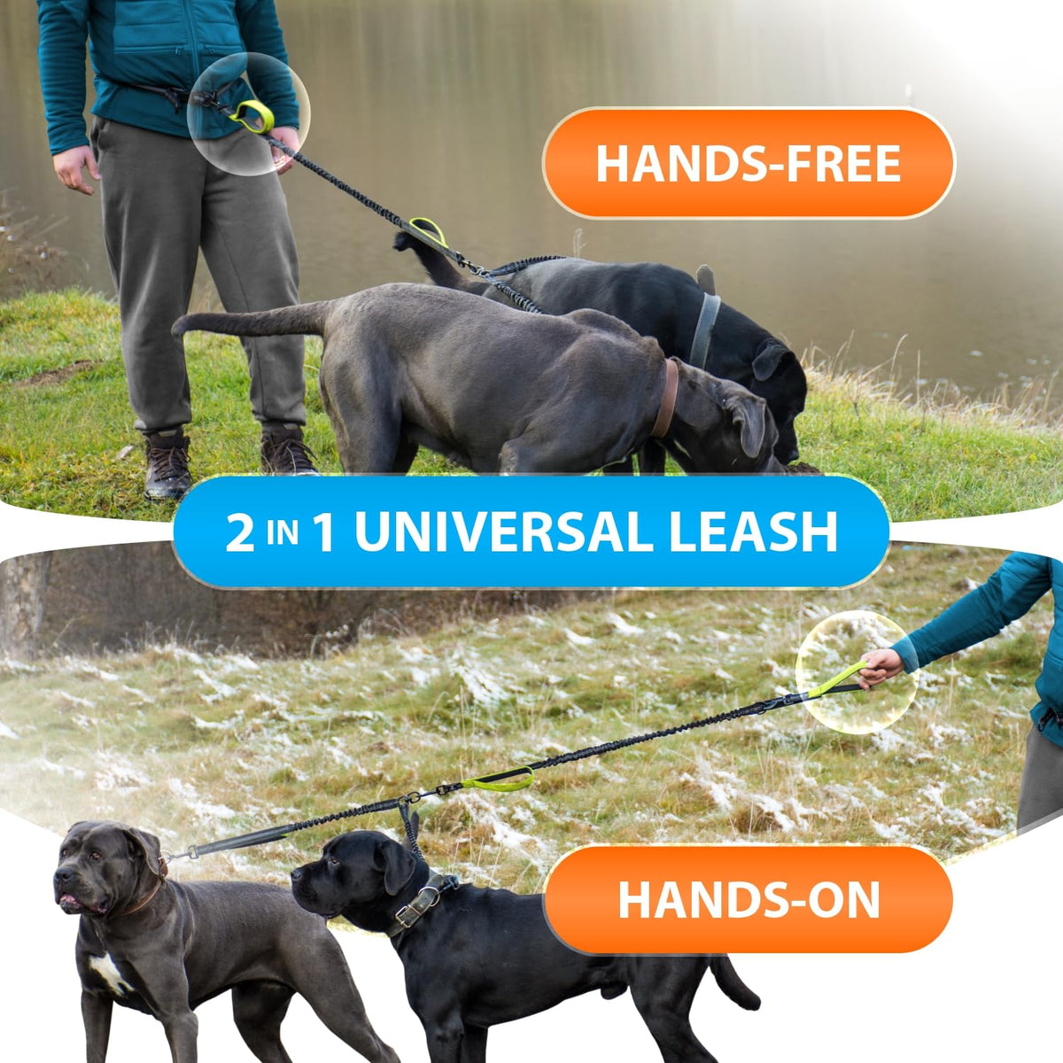 Hands Free Dual Dog Leash (Green / 2 dogs M/L)