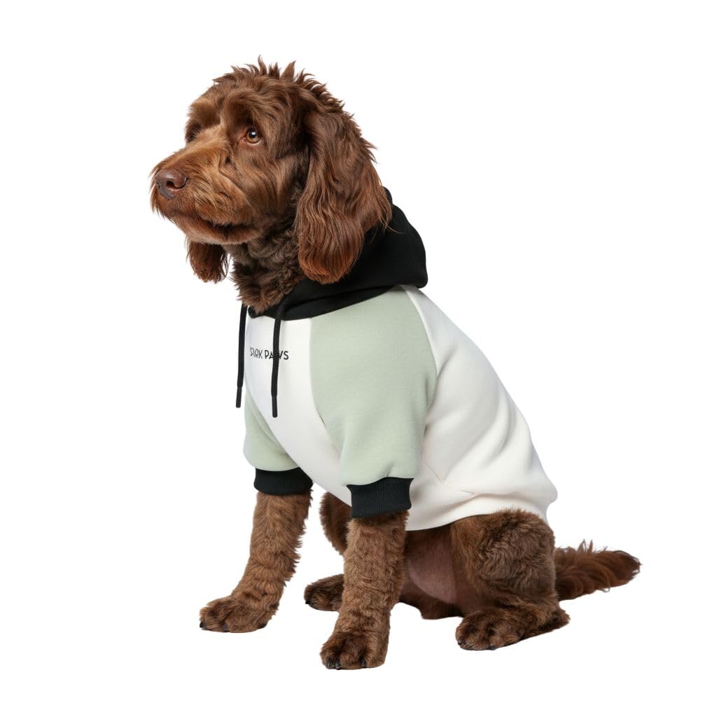 Dog Hoodie Buttery (Olive Cream / XX-Large)