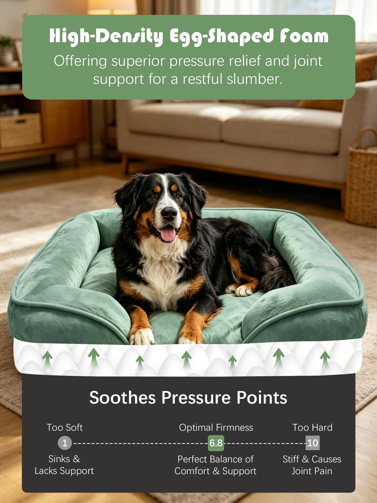 Orthopedic Dog Bed with Sides (48.0"L x 35.0"W x 8.0"Th / Green)
