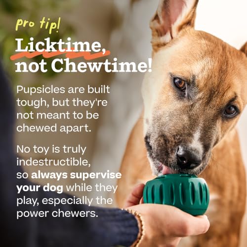 Pupsicle Interactive Dog Ball Toy for Dogs Small 10 (Orange / Small)