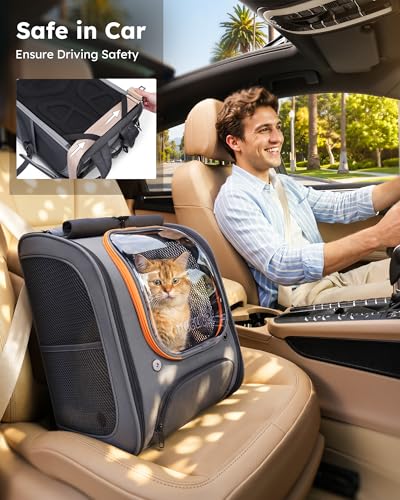 Cat Backpack Carrier (Gray-on-Gray Color Blocking / 12.6"L x 10.2"W x 16.5"H)
