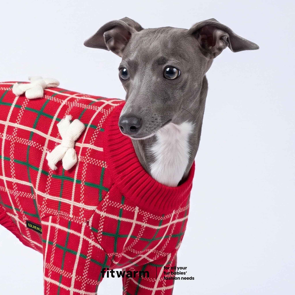Plaid Bow Dog Jacquard Sweater (Medium / Plaid Bow)