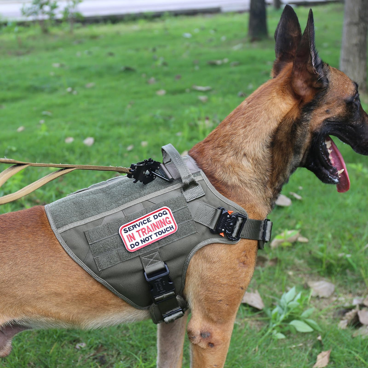 Tactical Dog Harness for Large Dogs (Large (Pack of 1) / Green)