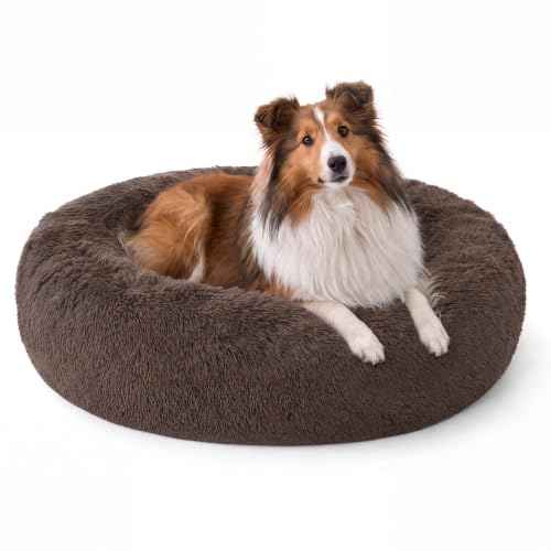 SupportMax® Calming Dog Bed Medium Size Dog Washable Pet Bed (Chestnut Brown / M PLUS(33x33x7))