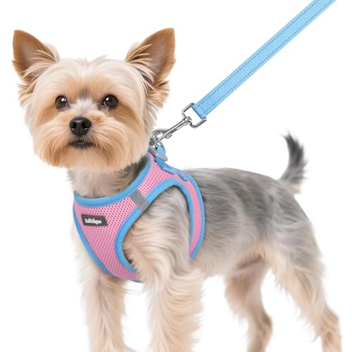 Dog Harness Small Sized and Leash Set (Pink & Blue / XS (Chest: 13.3"-15.5"))