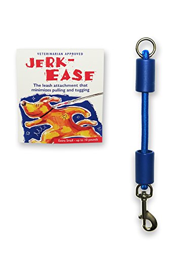 BUNGEE DOG LEASH EXTENSION (Extra Small (up to 10 pounds) / Blue)