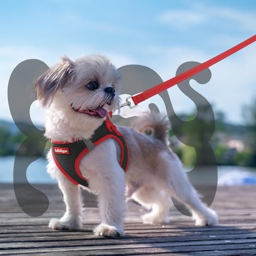 Dog Harness Small Sized and Leash Set (Black & Red / XXS (Chest: 12.4"-14.2"))