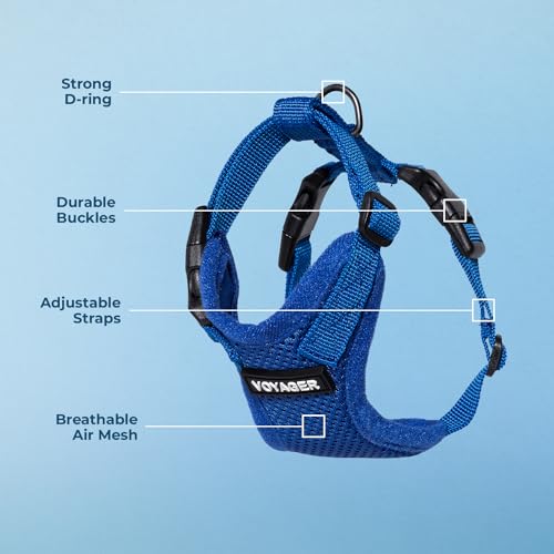 Voyager Step in Lock Cat Harness & Leash Set (Royal Blue / S (Chest: 15 - 18"))