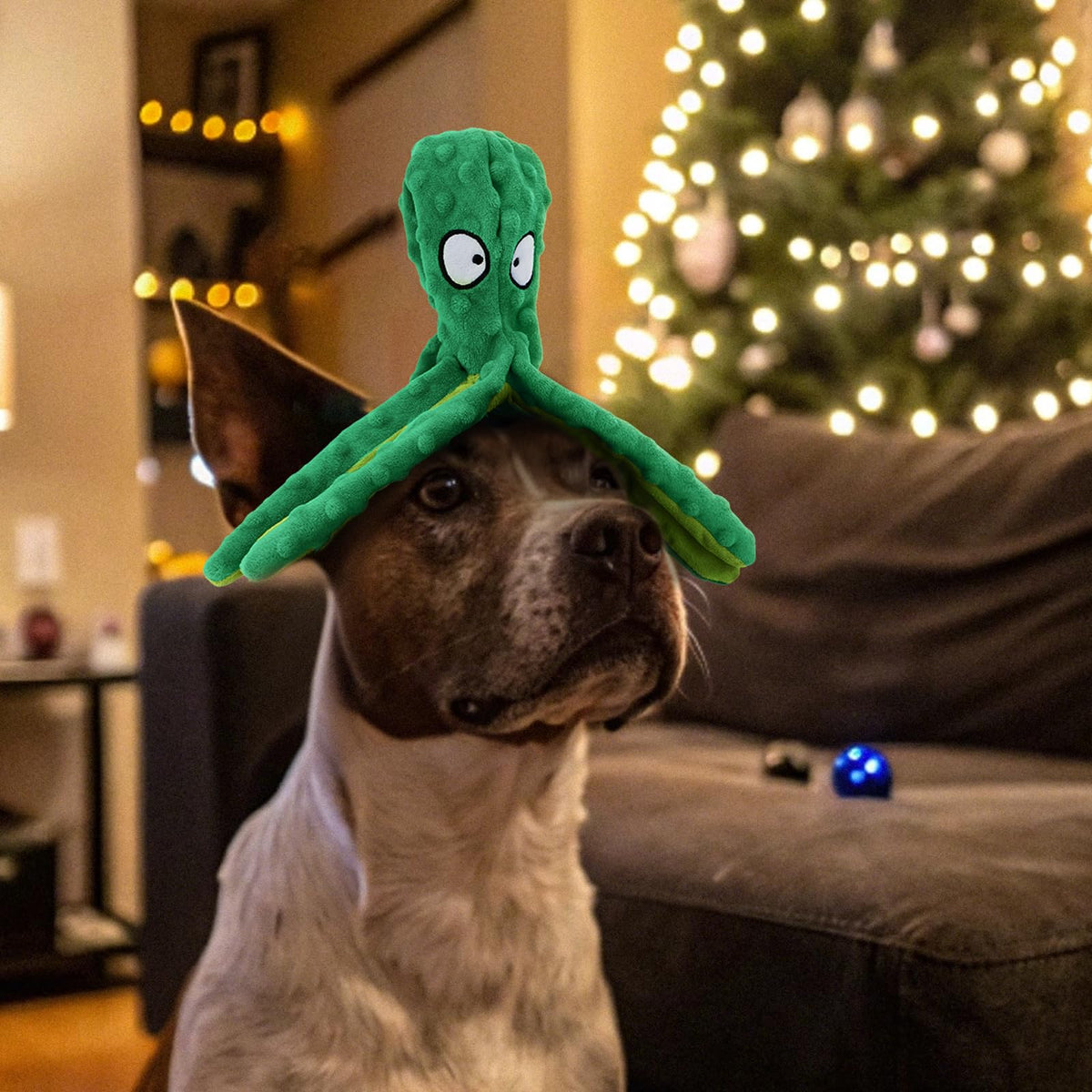 Squeaky Dog Toys No Stuffing Octopus Crinkle for Large Medium Small Dog (Octopus Yellow & Green)