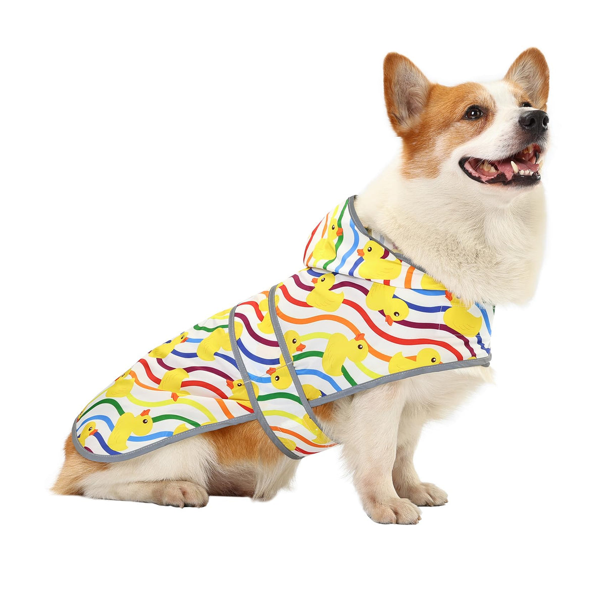 Dog Raincoat for Large Dogs (Rainbow Ducks / Large)