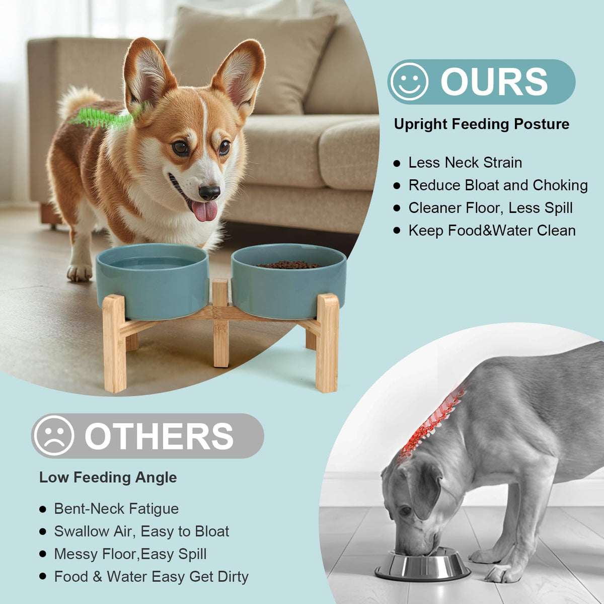 Elevated Dog Bowls Ceramic (6.1 in - 3.6 cups / Dark Green)