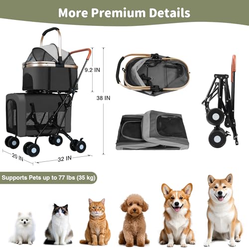 Double Pet Stroller (Black)