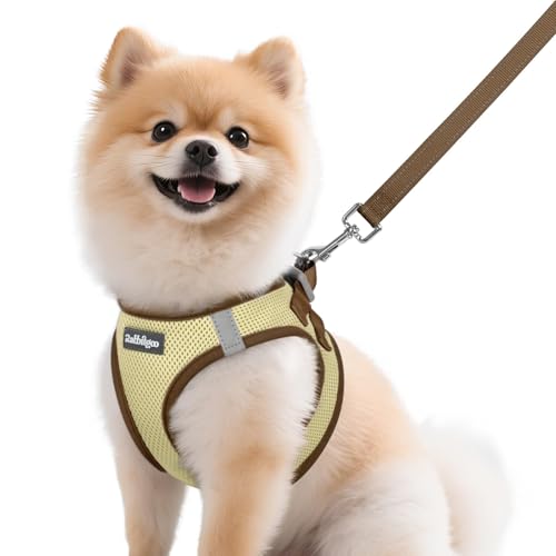 Dog Harness Small Sized and Leash Set (Beige & Coffee / M (Chest: 16.0"-18.5"))