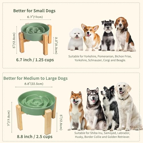 Elevated Slow Feeder Dog Bowl (Green / 1.5 Cups)