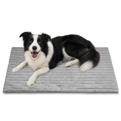 Soft Plush Fluffy Self Warming Thermal Pet Mat for Dogs and Cats (Misty Gray / Large (35'' X 23'' X 1''))