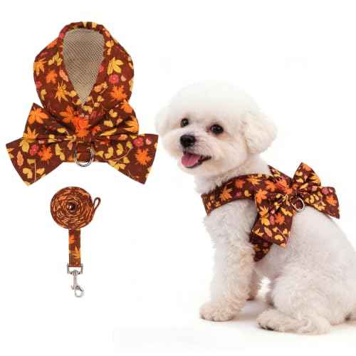 Fall Dog Harness and Leash Set for Small Medium Dogs Cats (Brown / M (Chest Girth: 16.1"-18.9"))