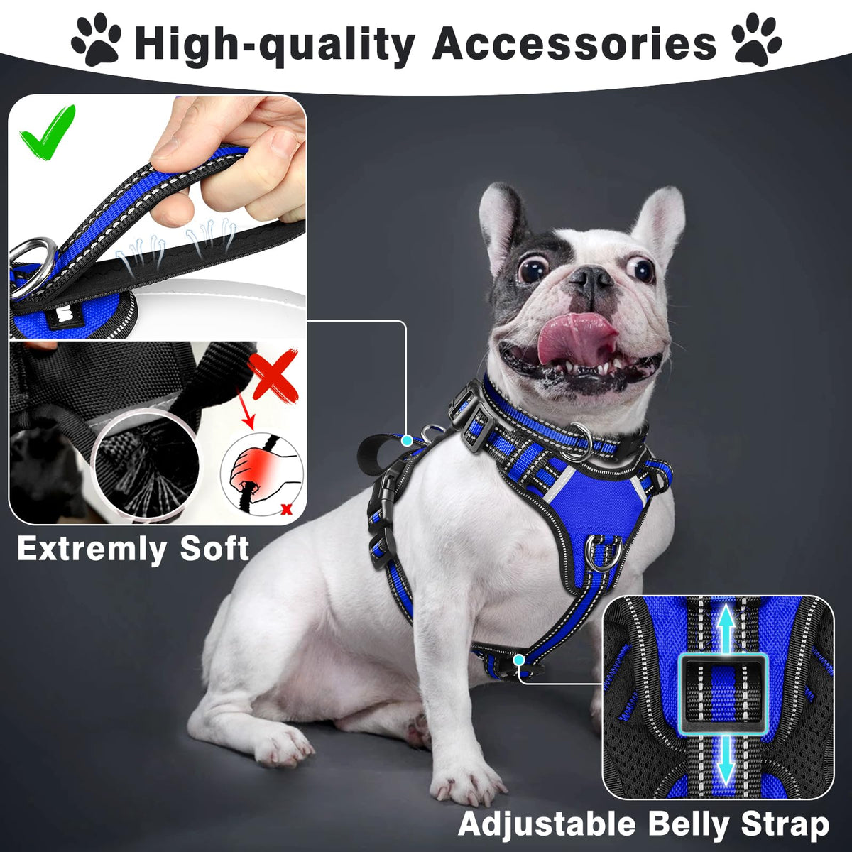 Pet Harness Collar and Leash Set (Small / Dark Blue)