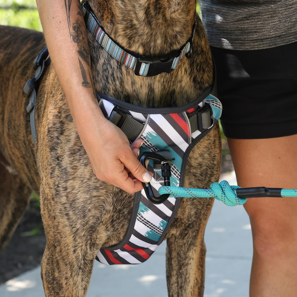 Embark No Pull Dog Harness (XL / Maverick)