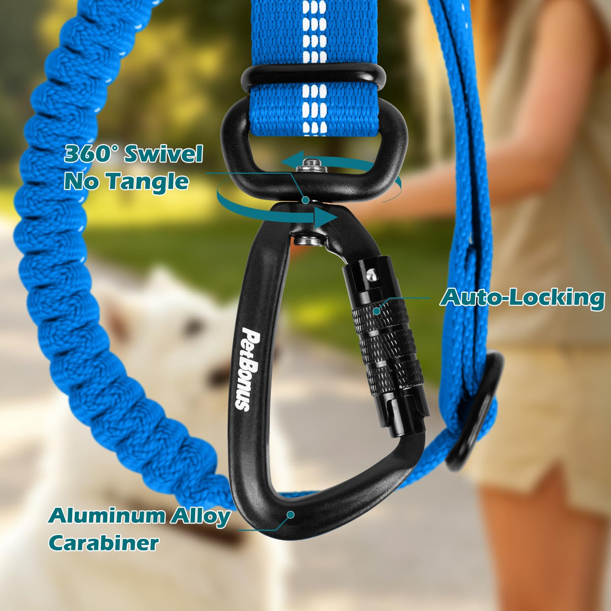 Dog Seat Belt for Car (Sporty Blue / 1 Pack)