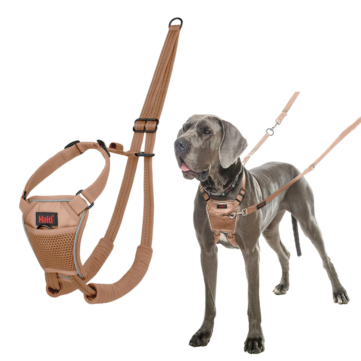 No Pull Dog Harness (Desert Sand / L)