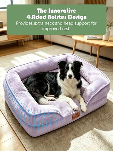 Orthopedic Dog Bed with Sides (35.0"L x 25.0"W x 6.5"Th / Purple)