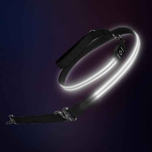 LED Dog Leash (White / 6 feet)