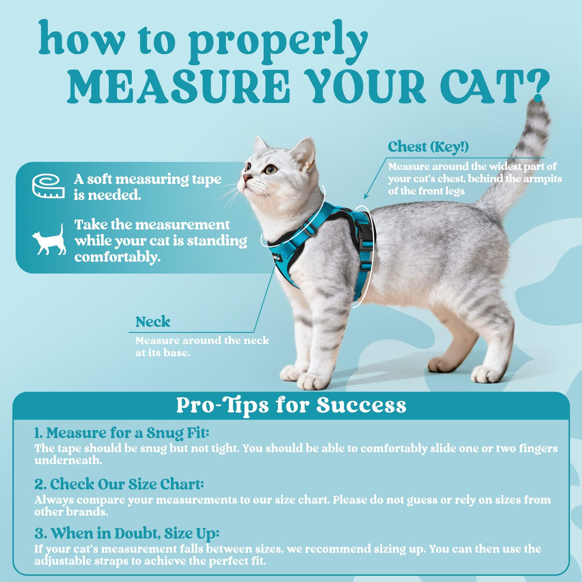 Cat Harness and Leash Set (M / Teal)