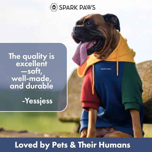 Dog Hoodie Buttery (Primary Color Block / Small)