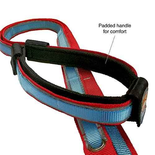 Quantum 6 in 1 Dog Leash (Red/Blue)