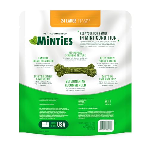 Mint Dental Chews for Dogs (Large Dogs - 32oz)