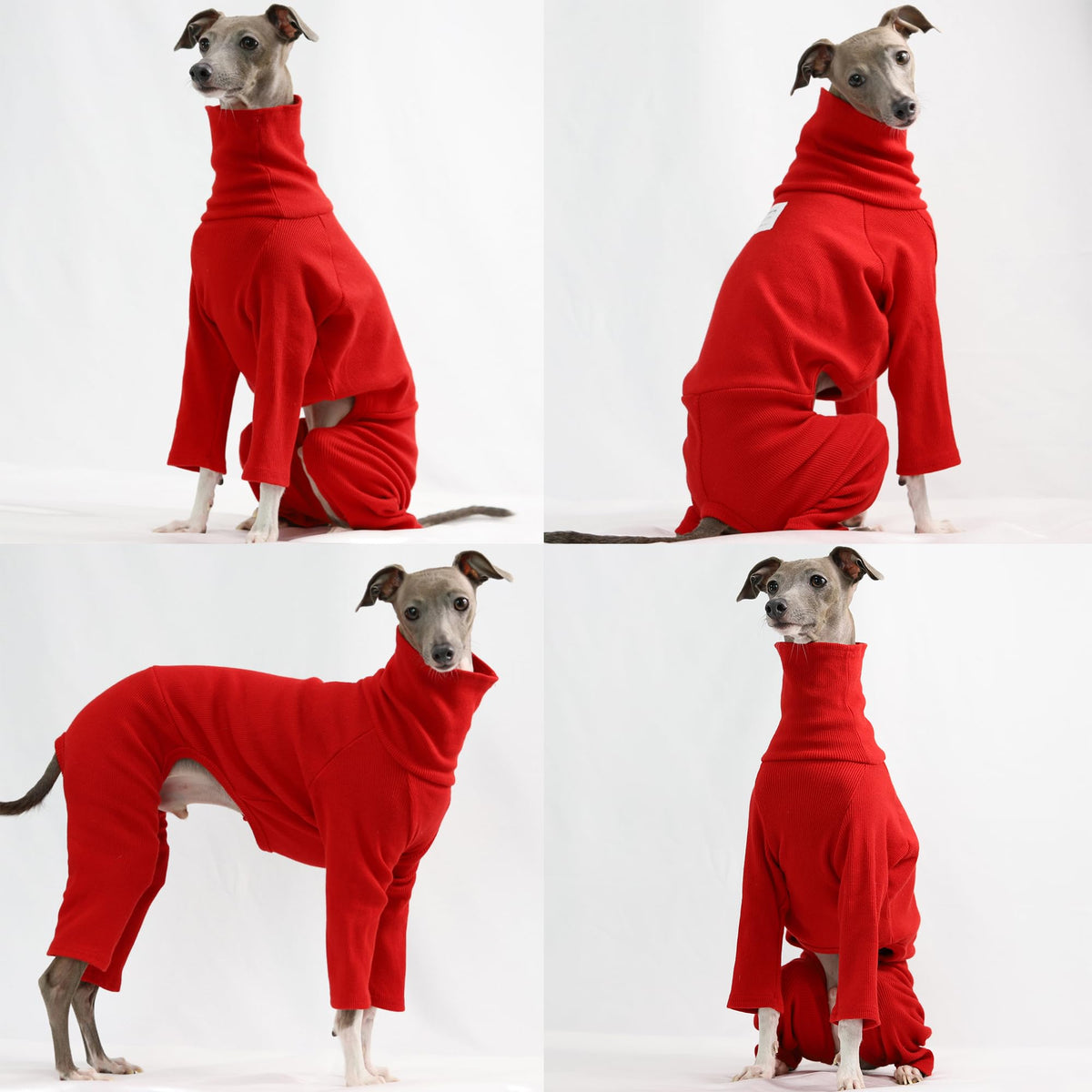 D Doggy Star Italian Greyhound Clothes Stretchable Onesie Whippet for Dog (L / Ribbed Red)