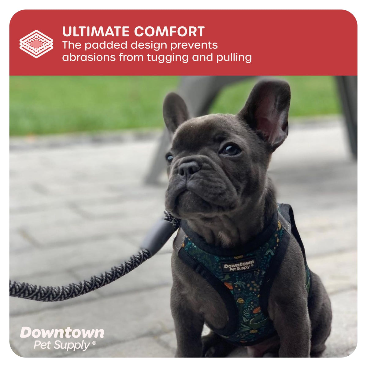 Step in Dog Harness (X-Large / Dinosaur)