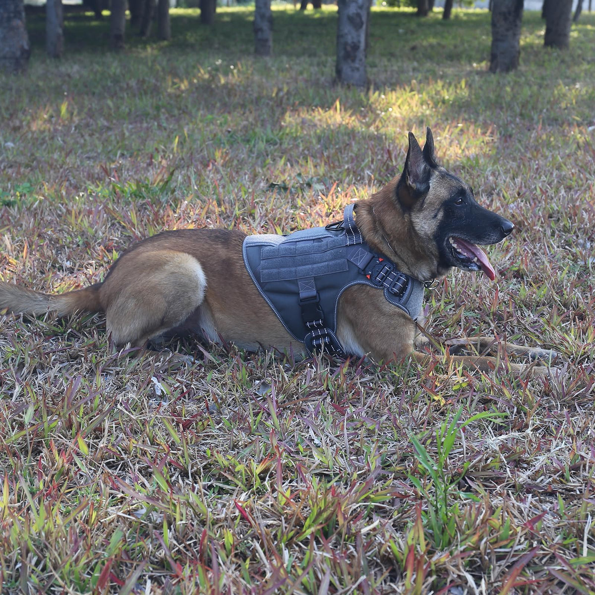 Tactical Dog Harness for Large Dogs (Large (Pack of 1) / Grey)