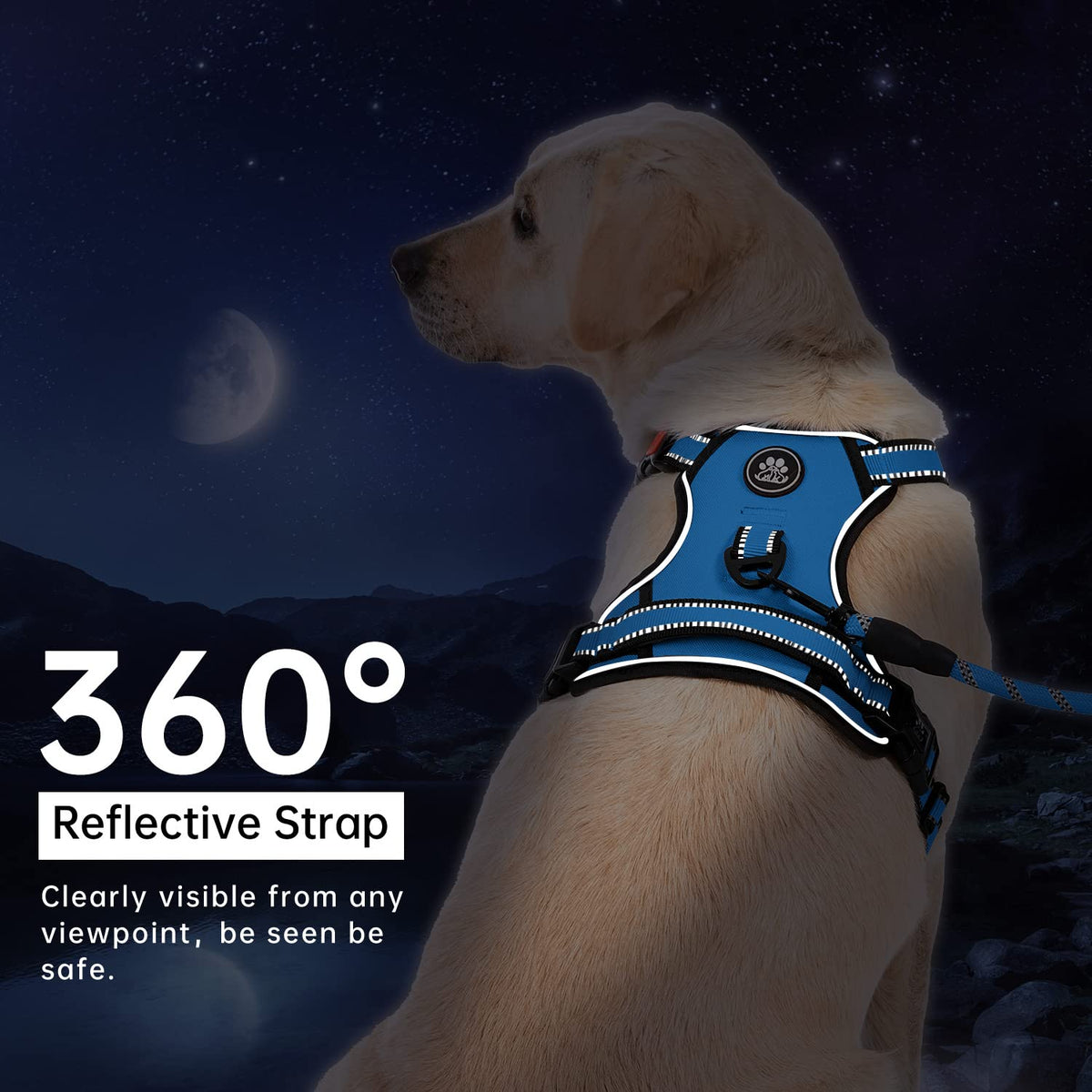 No Pull Dog Harness with Leash Set (Blue / X-Small)