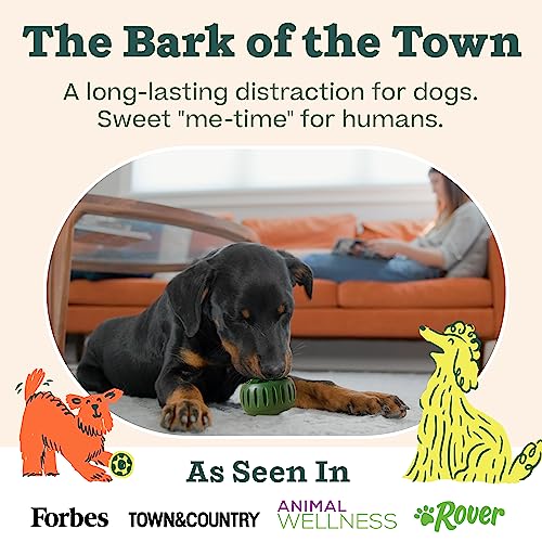 Starter Pack Dog Treat Toy for Small Dogs 10 (Small Starter Pack)