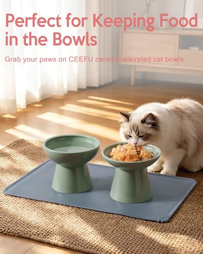 2 Pack Elevated Ceramic Cat Bowls Extra Wide for Food & Water + Food Mat Sage Green+Mat (Sage Green+Mat)