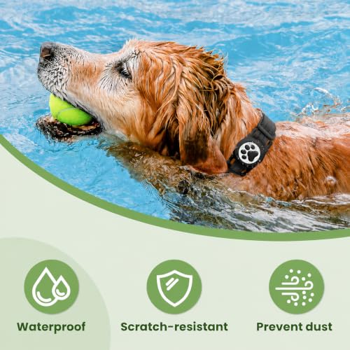 Dog Tracker with Apple Find My