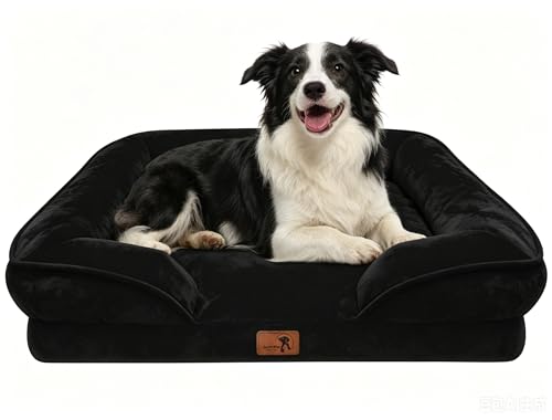 Orthopedic Dog Bed with Sides (35.0"L x 25.0"W x 6.5"Th / Black)