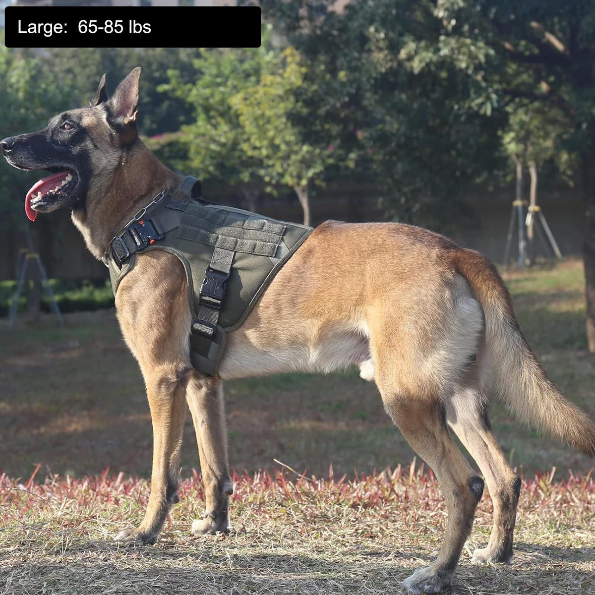 Tactical Dog Harness for Large Dogs (Large (Pack of 1) / Green)