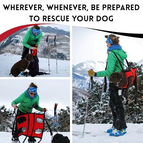 Airlift Original V2 Dog Carrier Sling (Medium (20–45 lbs) - Original V2)