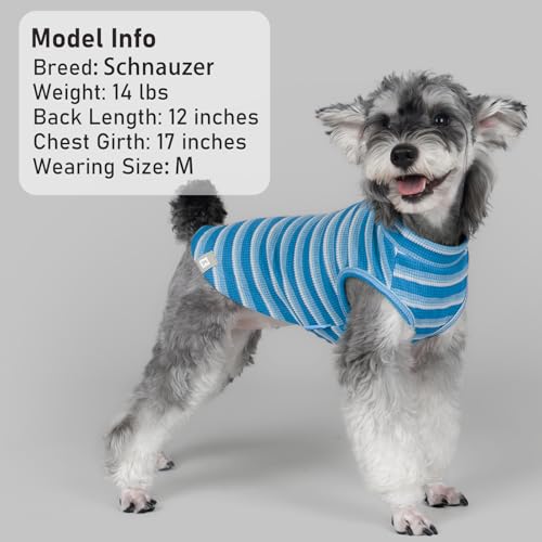2Pack Waffle Dog Shirt for Small Dogs Striped Dog Sweater Tank Top (Large (12-18lbs) / 2Pack(Blue+Striped))