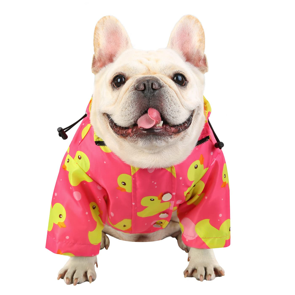Premium 2 Layer Zip Dog Raincoat Poncho w (Medium / Ducks Pink)