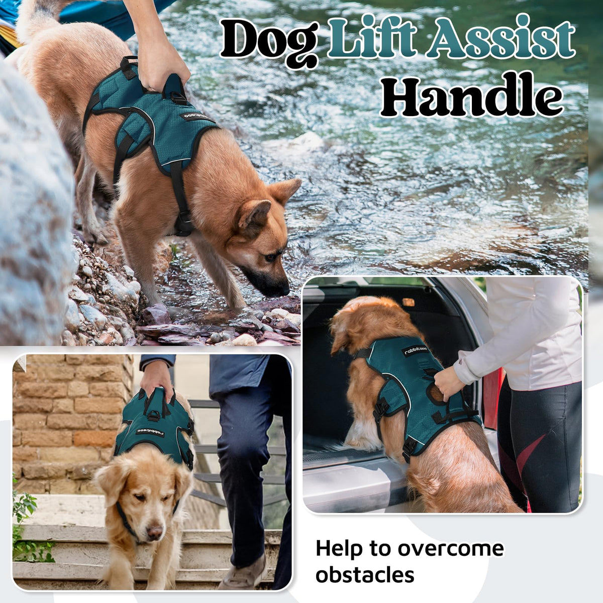 Escape Proof Dog Harness for Medium (Dark Green / Medium)