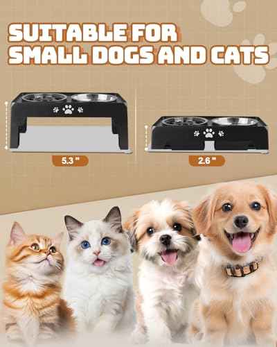 Elevated Dog Bowls for Small Dogs and Cats with Mat (for Small Dogs 1 Basic&1Slow Bowl with Mat / Black)