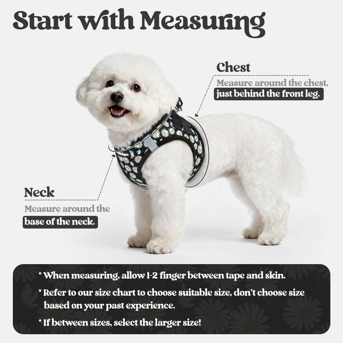 Dog Harness Small Sized and Leash Set (Midnight Daisy / Xs (chest: 13.3 - 15.5"))