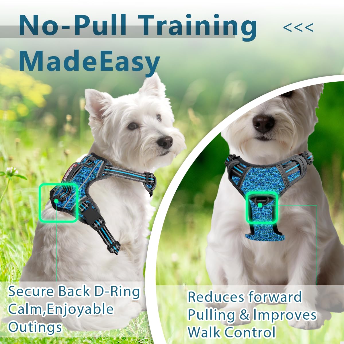 No Pull Dog Harness for Small Sized Dogs (Blue/Black / X-Small(Chest:14.6-19.6”))