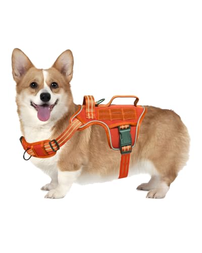 Dog Harness Tactical No Pull for Small Sized Dog with Handle (Orange / S(Neck:16-22",Chest:20-28"),18-35 lbs)