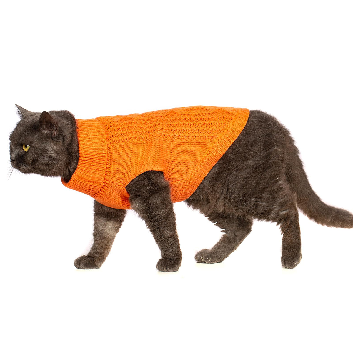 Cat Sweater Stretchy (Orange / Large)