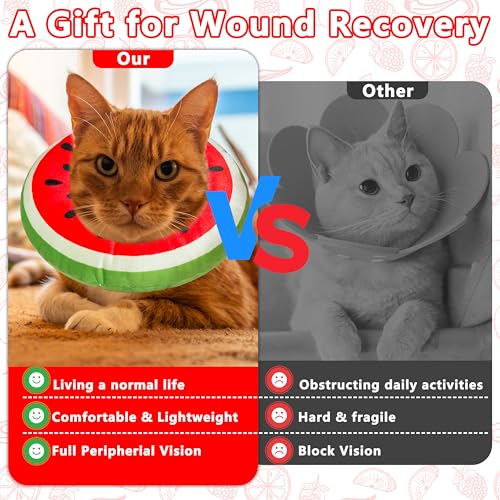 Cat Cone Collar Soft (Watermelon / Medium)